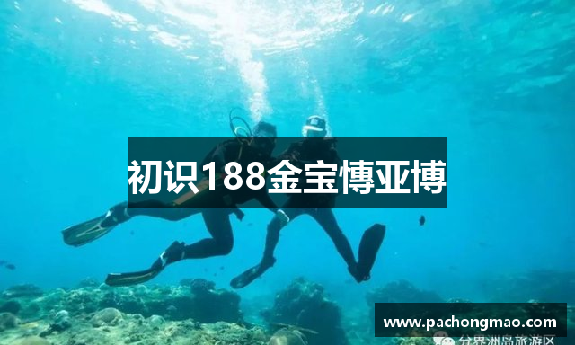 初识188金宝慱亚博